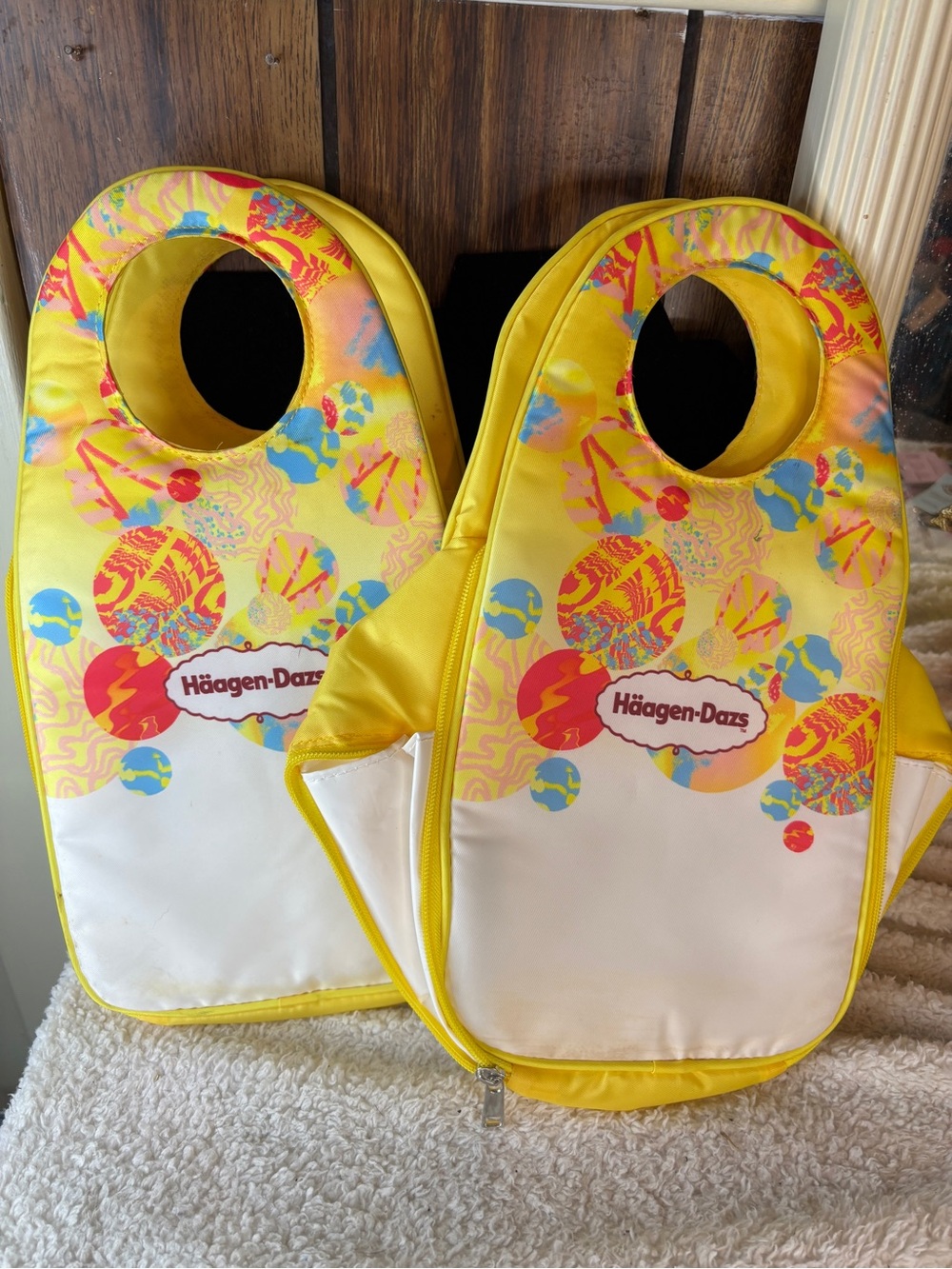 Set of 2 Insulated Lunch Bags Meal carrier New